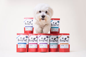 Your dog's Gut Health Supplement Plan explained
