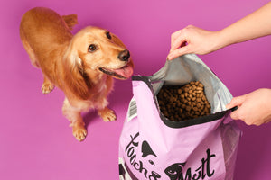 How long can you keep dry dog food once opened?