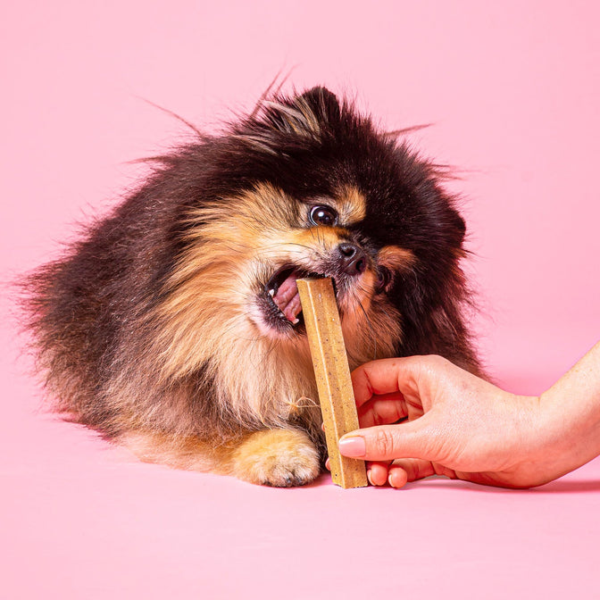 Calming Dental Sticks For Dogs