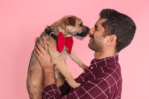 Father’s Day ideas for pooch papas
