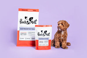 What is gastrointestinal dog food?