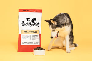 What’s the best dog food for liver disease?