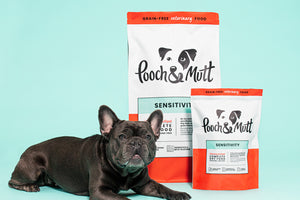 What's the best food for dogs with allergies?