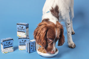 Wet food for dogs:  FAQs and Myth-busters