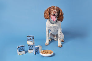 Benefits of low fat foods for dogs
