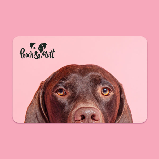 Pooch & Mutt E-Gift Card