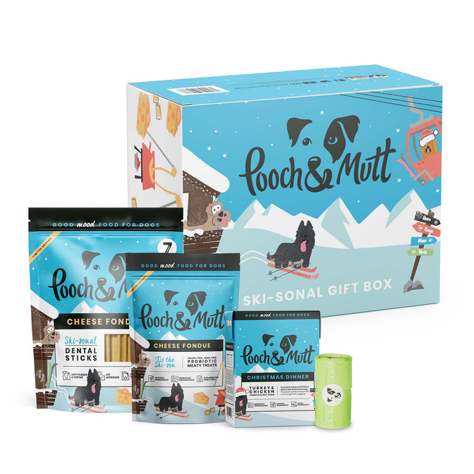 Ski-sonal Dog Christmas Gift Box