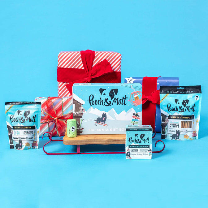 Ski-sonal Dog Christmas Gift Box