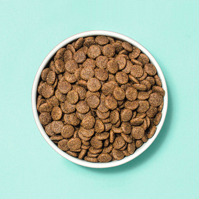 Sensitivity Dry Dog Food For Allergies