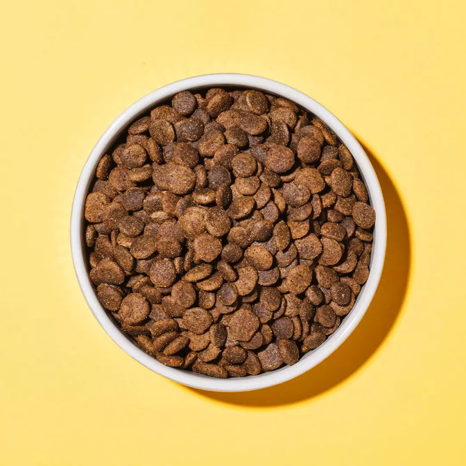 Skin & Coat Dry Food For Dogs
