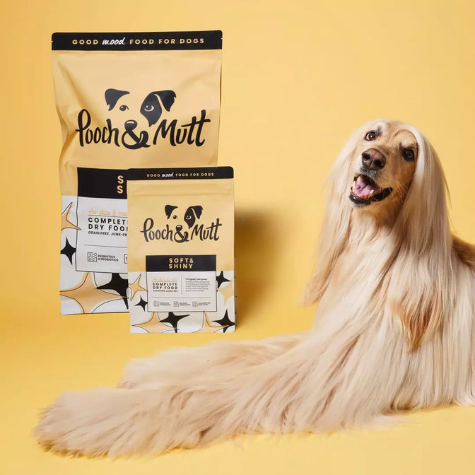 Skin & Coat Dry Food For Dogs